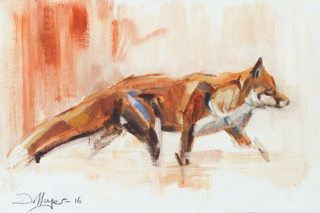 Red Fox by David Mayer