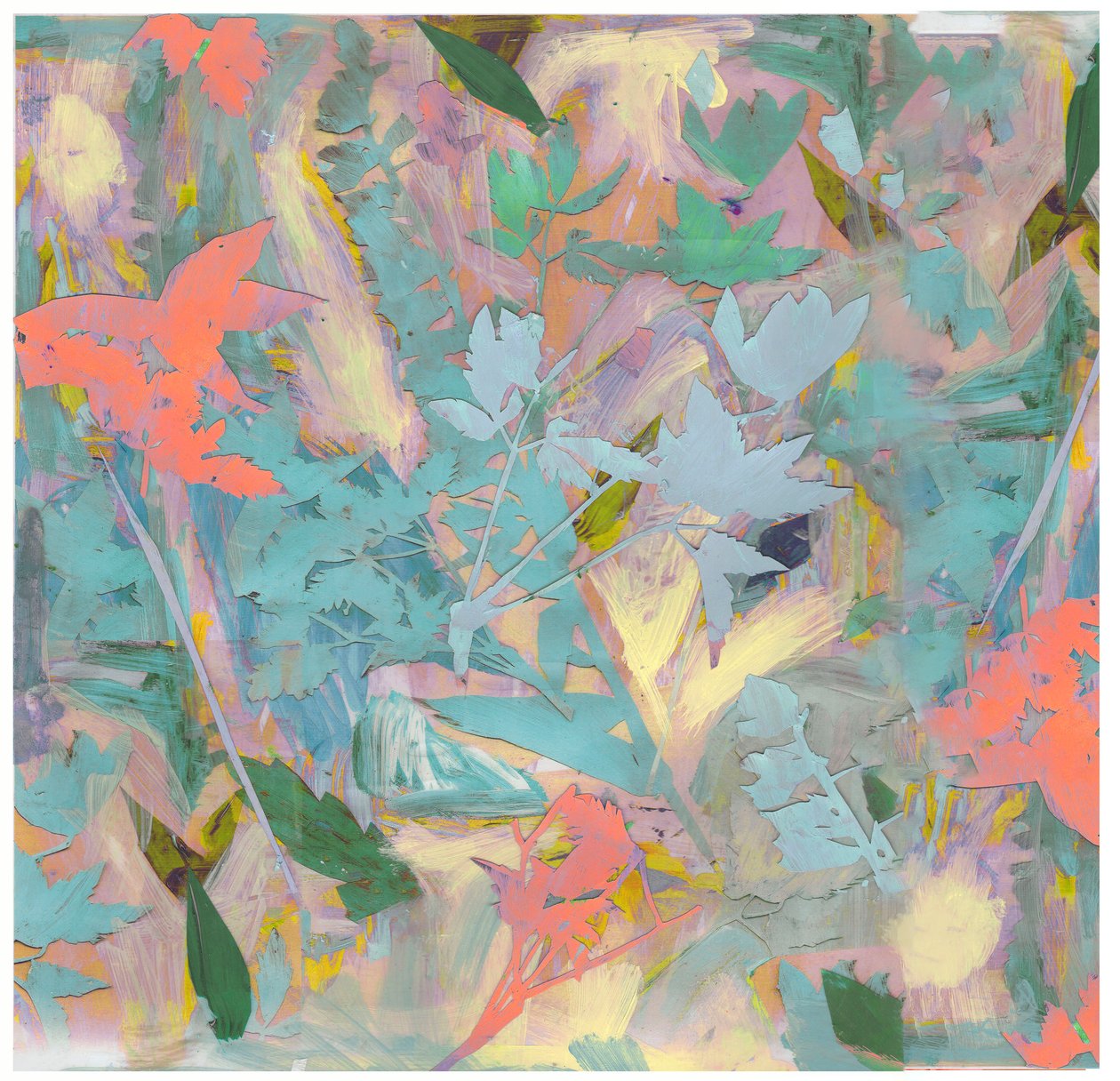 Botanical Collage #3, 2017 by David McConochie