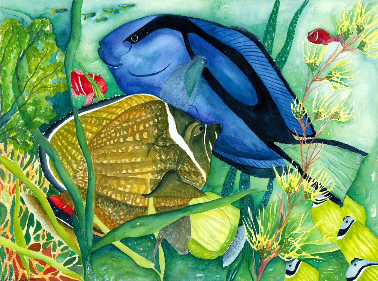 Blue Tang by Deborah Eve Alastra