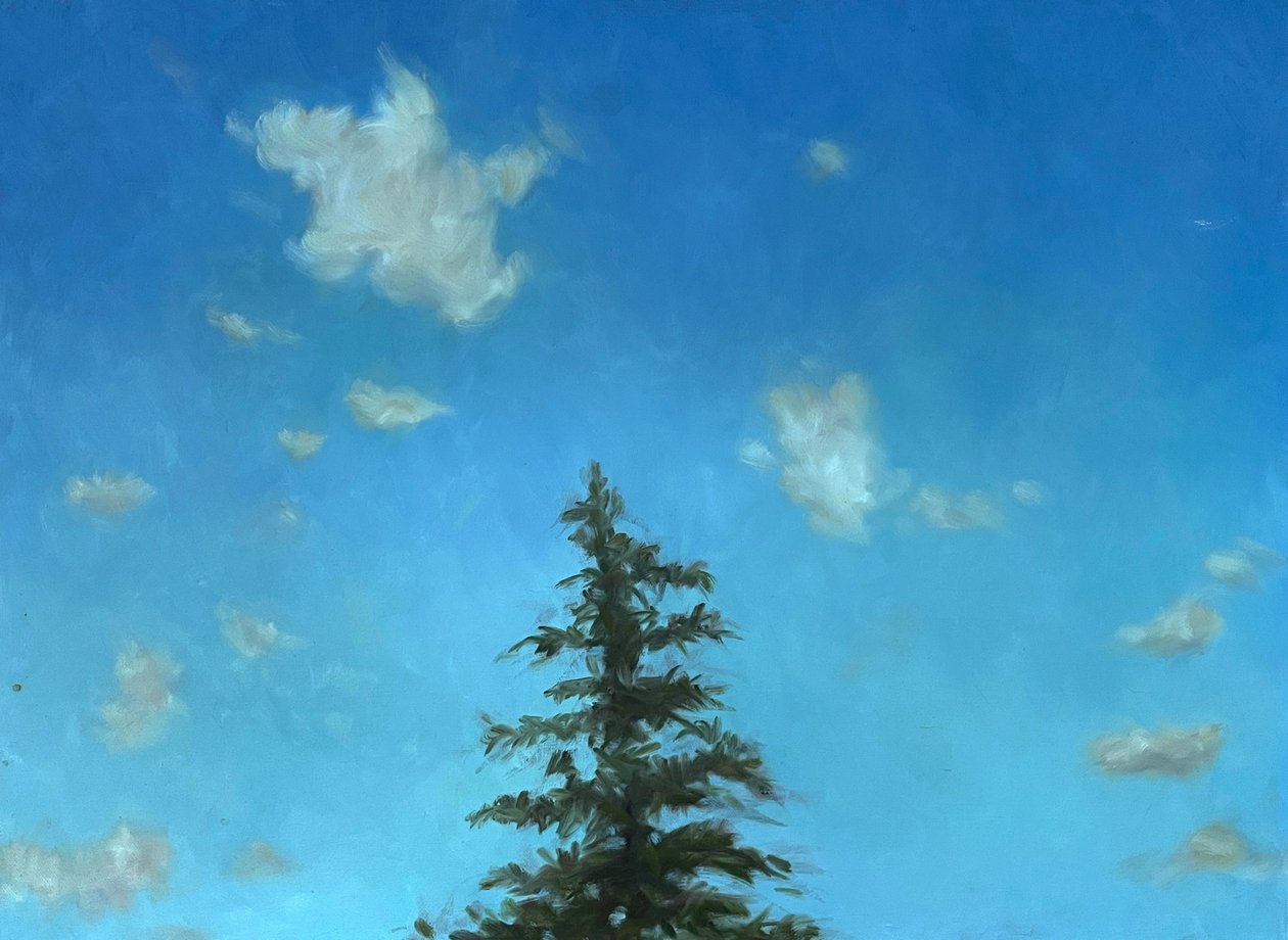 Lone Pine by Deborah Stevenson