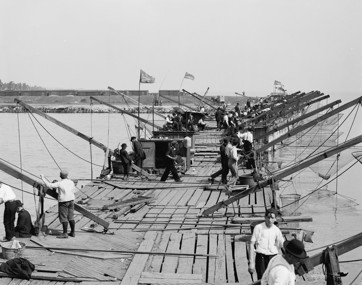 The Fishing pier, Chicago, Illinois by Detroit Publishing Co.