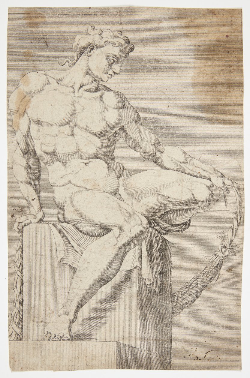 Nude from the Sistine Chapel by Dirck Volckertsz. Coornhert