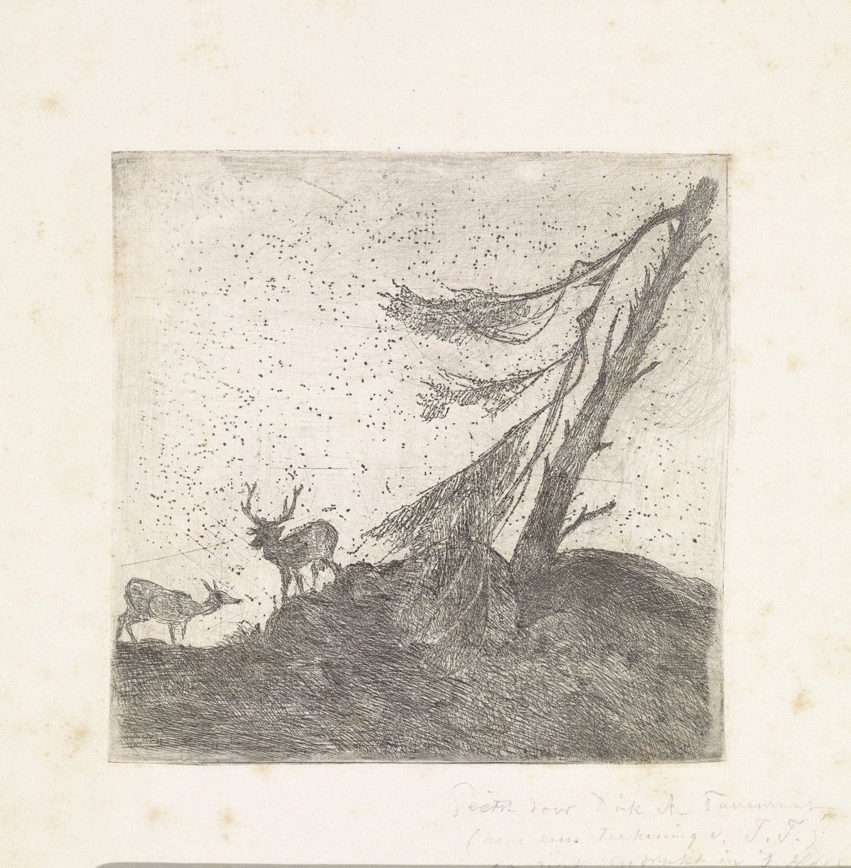 Two Deer by a Pine Tree by Dirk Arnoldus Tavenraat