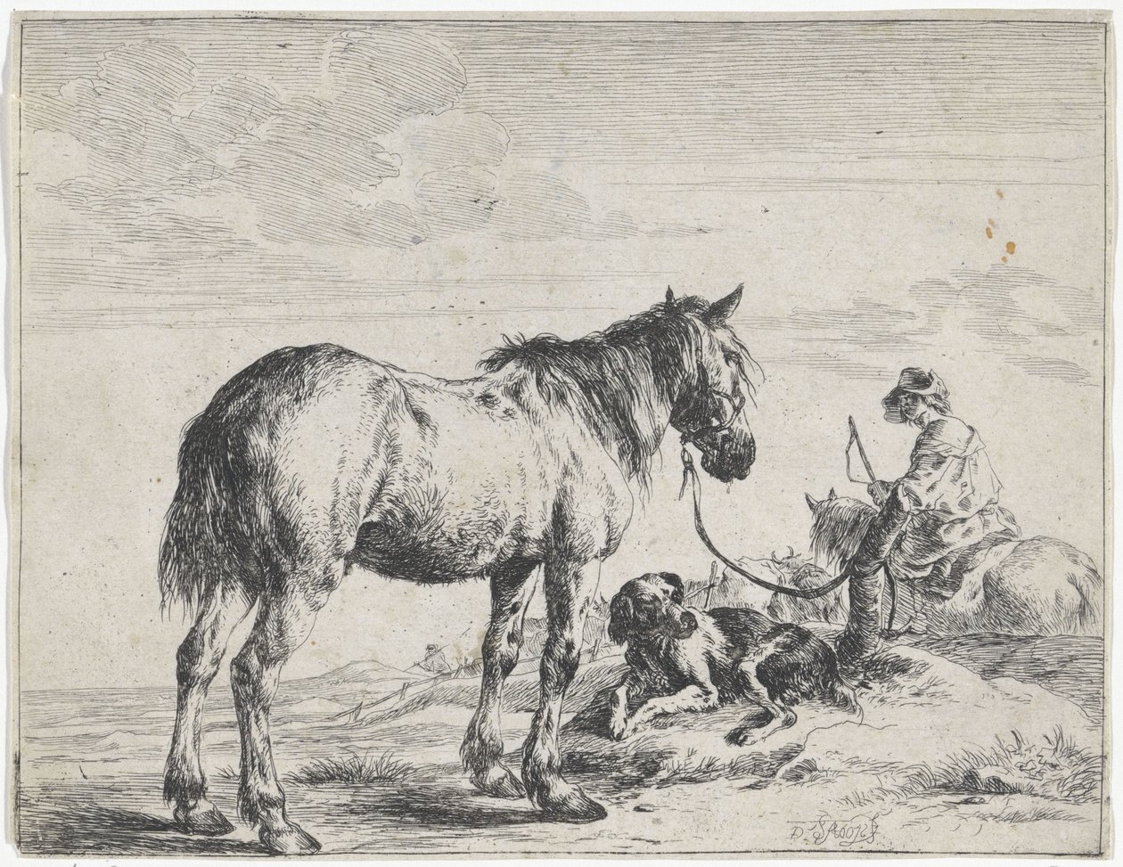 Horse Tied to a Pole (Horses) by Dirk Stoop