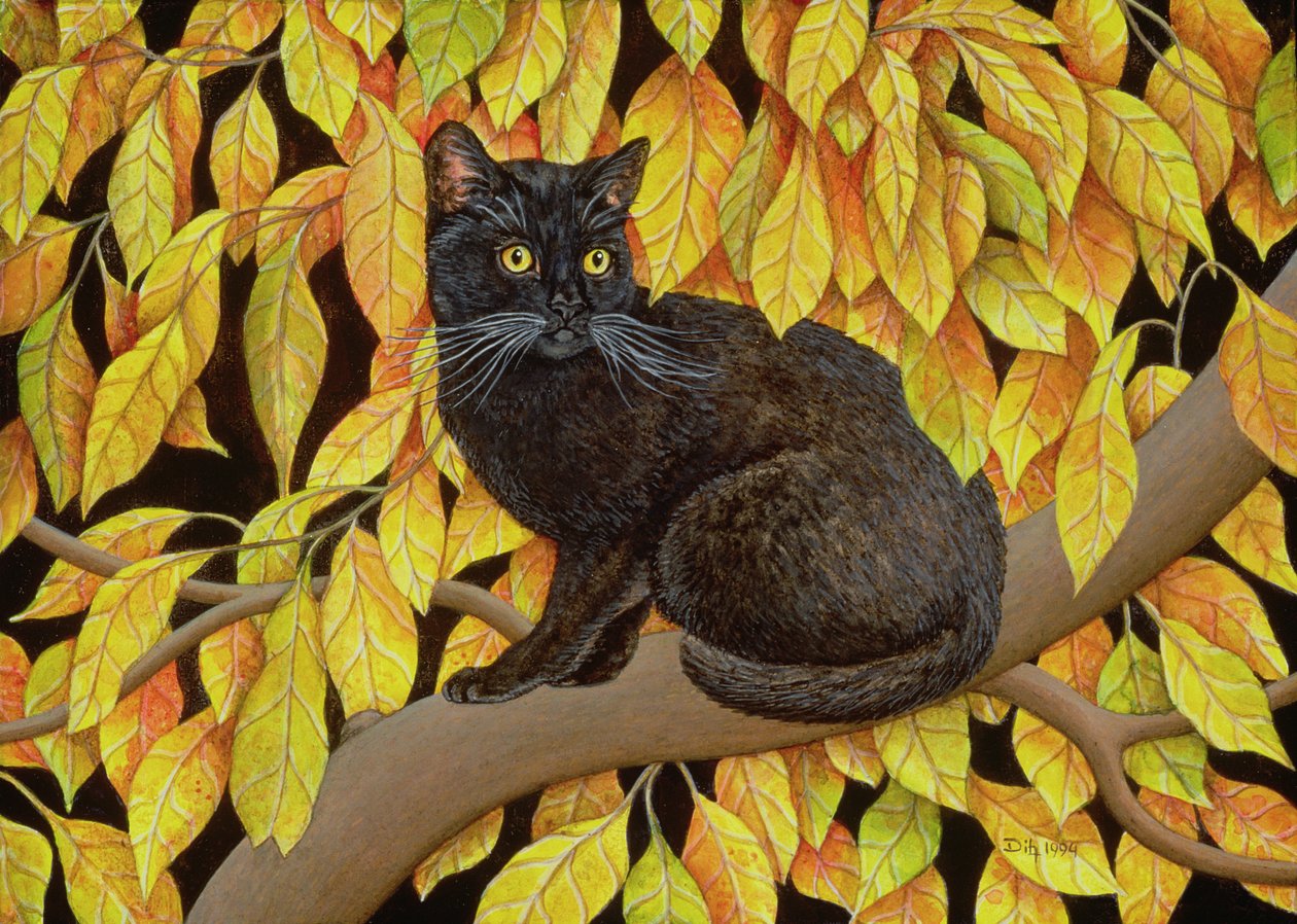 Autumn Leaves by Ditz