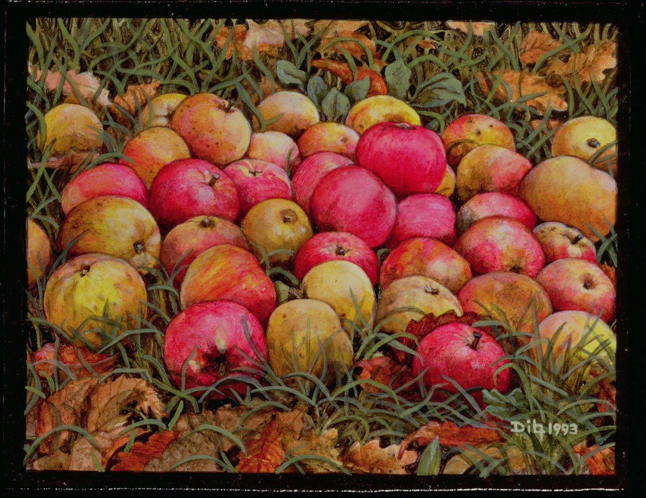 Durnitzhofer Apples, 1993 by Ditz