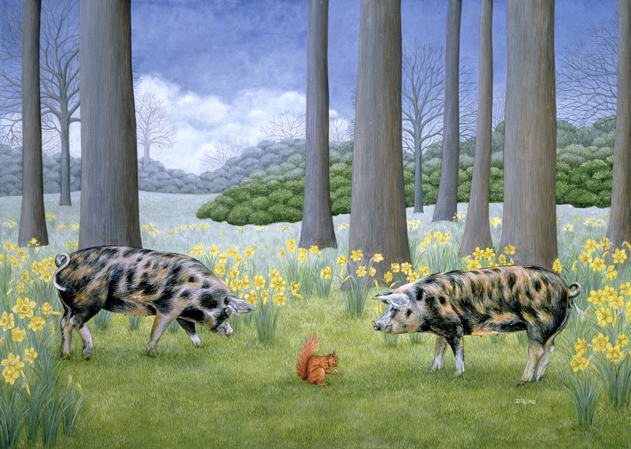 Piggy in the Middle by Ditz