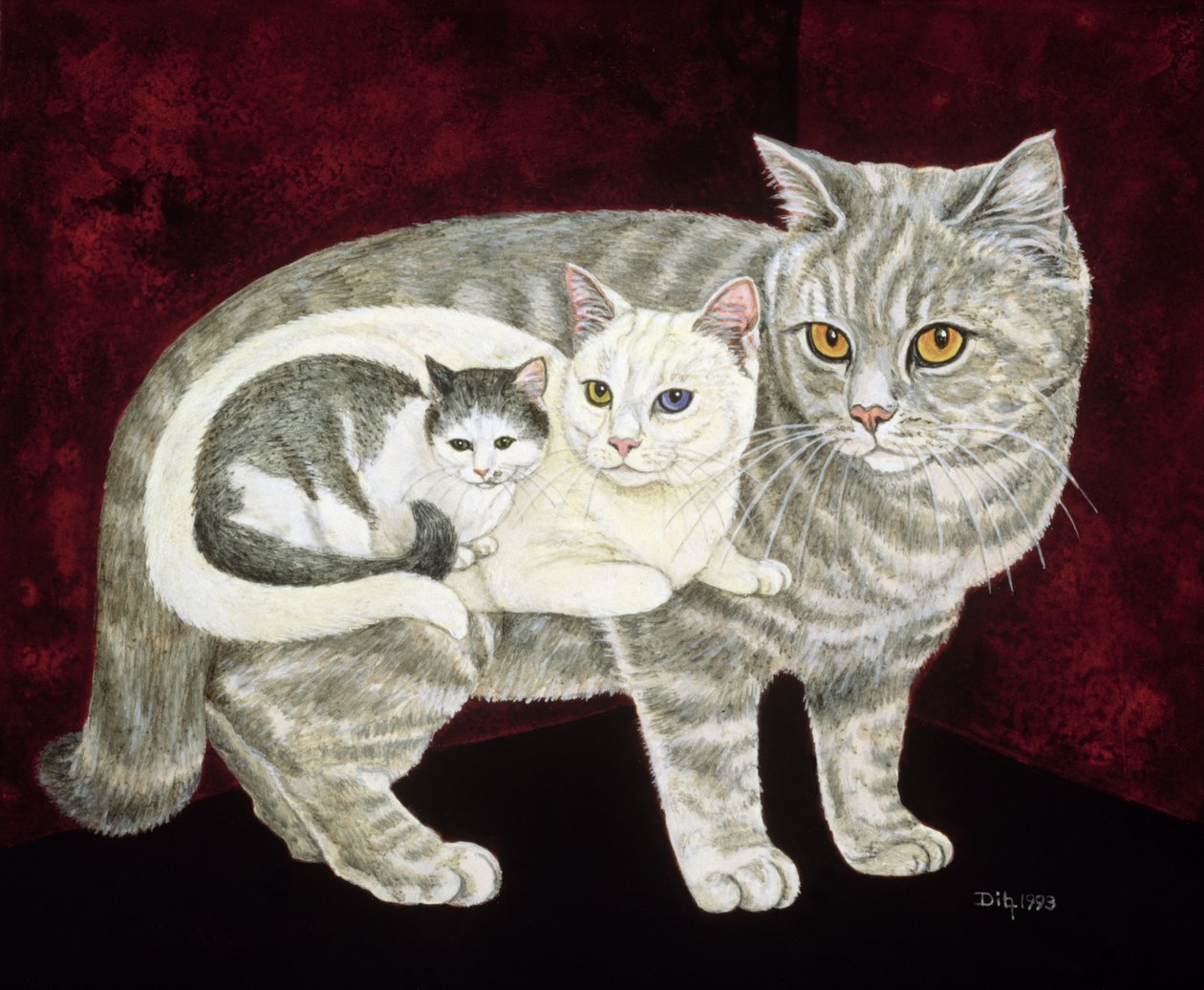 Russian Cat by Ditz