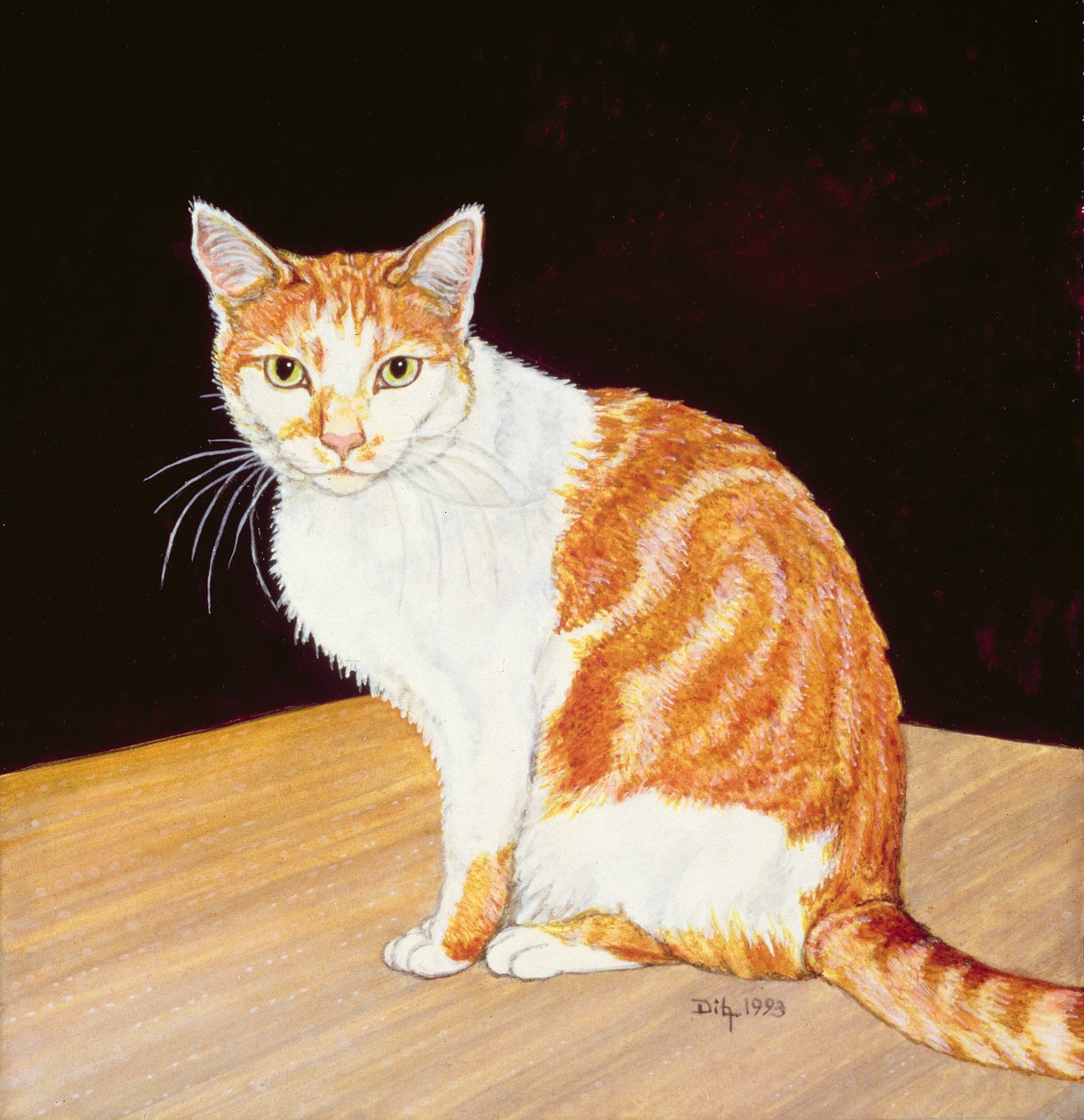 Thomas by Ditz