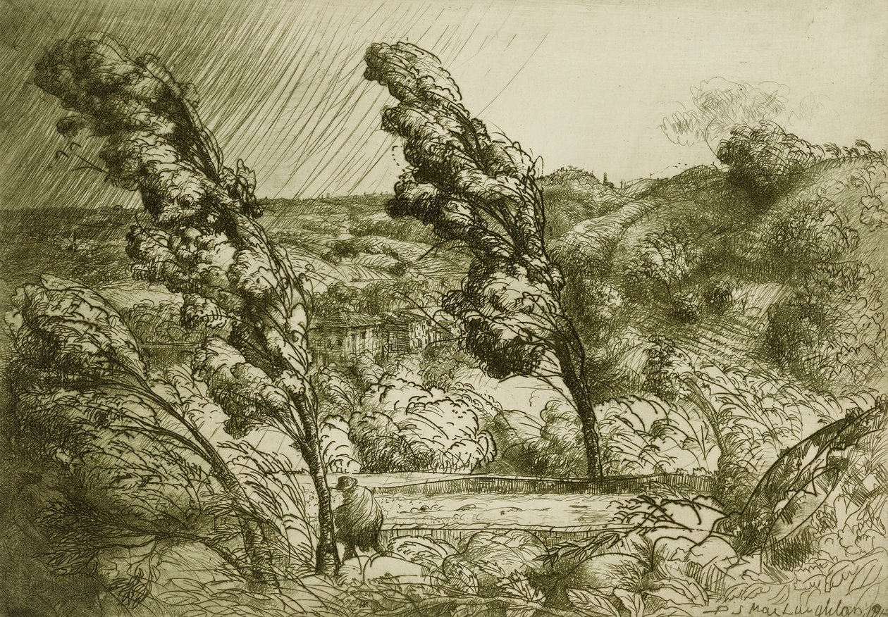 The Tempest by Donald Shaw MacLaughlan
