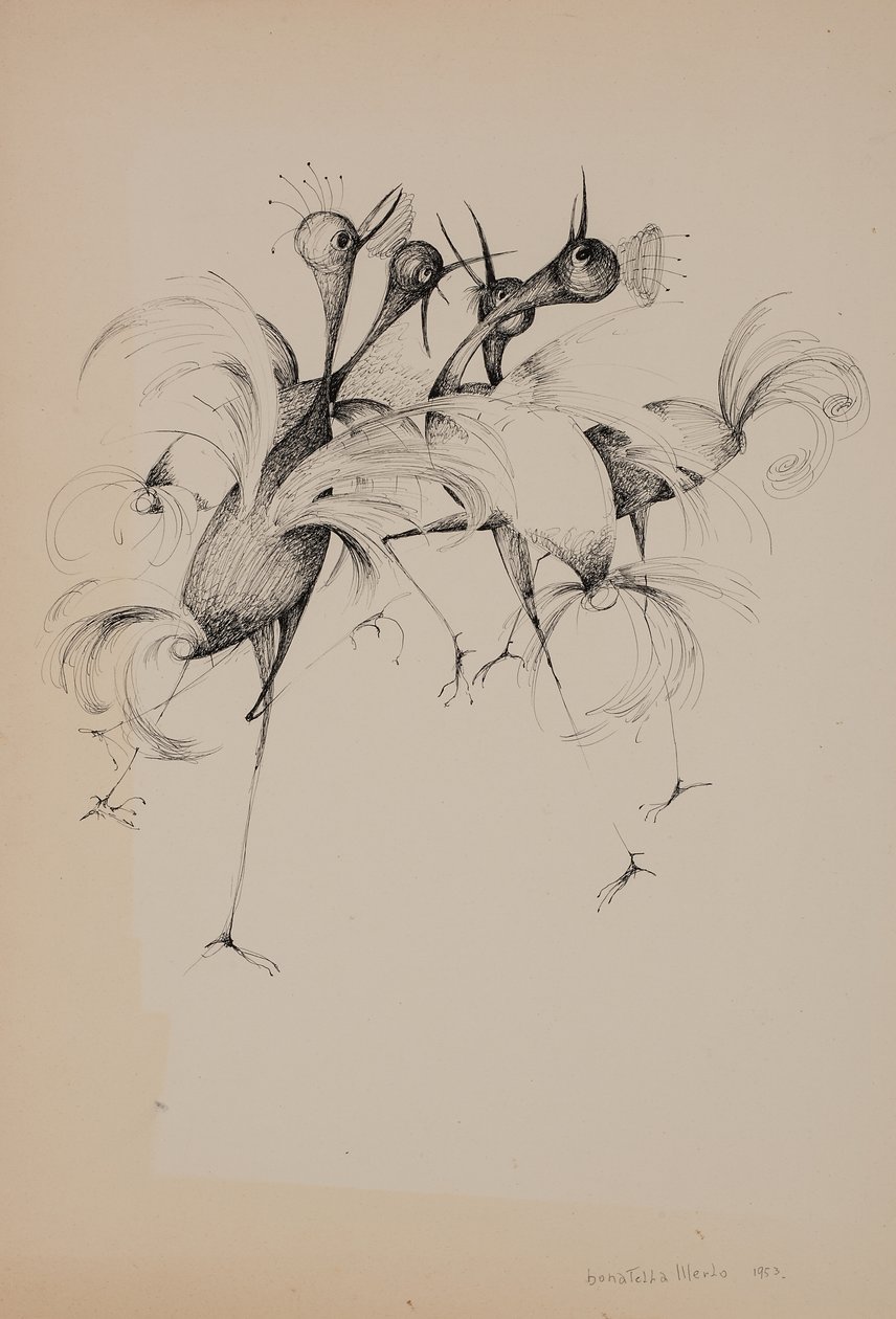 Birds by Donatella Merlo