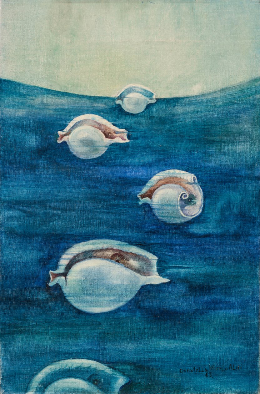 Migration by Donatella Merlo