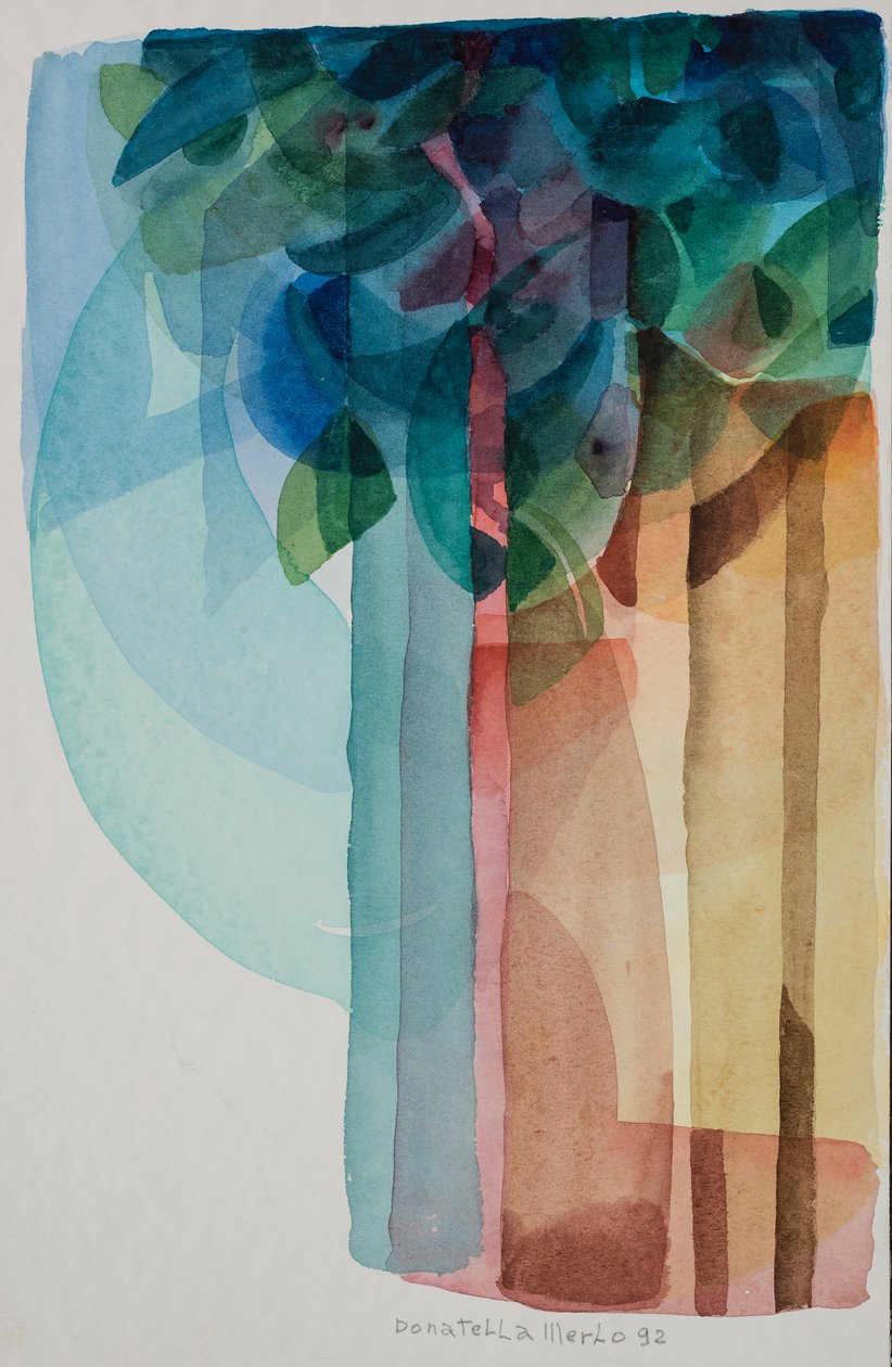 Waterfall by Donatella Merlo