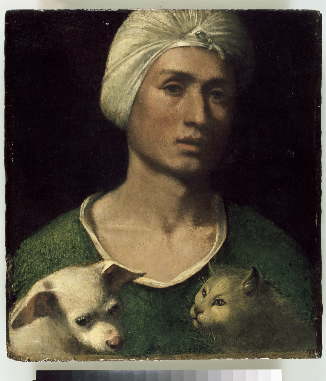 Portrait of a Young Man with a Dog and a Cat by Dosso Dossi