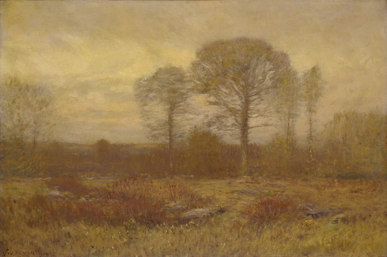 November by Dwight William Tryon