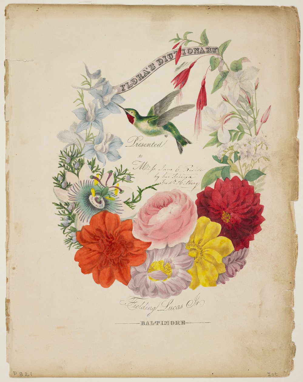 Presentation Page, Flower Garland and Humming Bird, from Flora