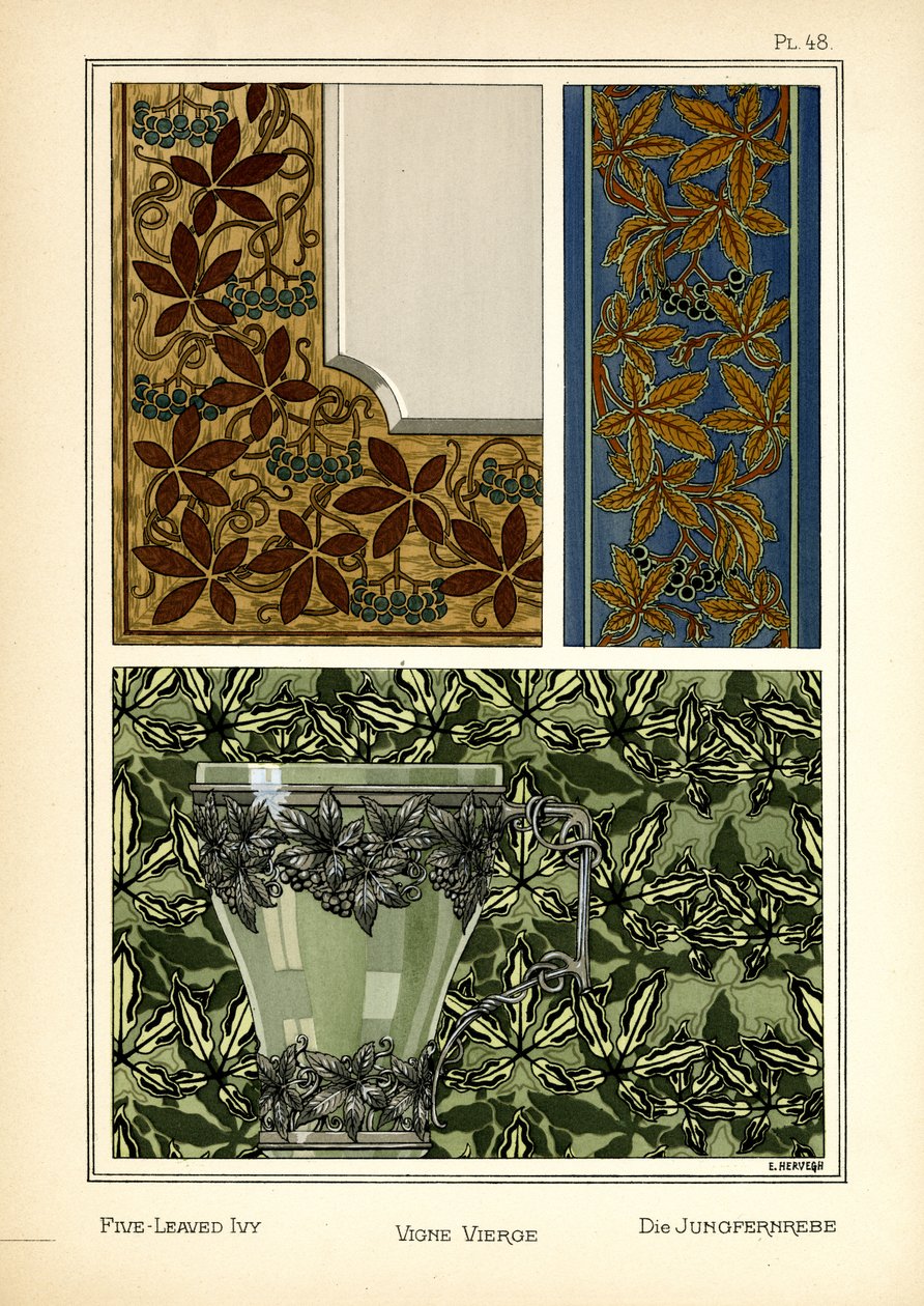 The Five-leaved Ivy by E. Hervegh