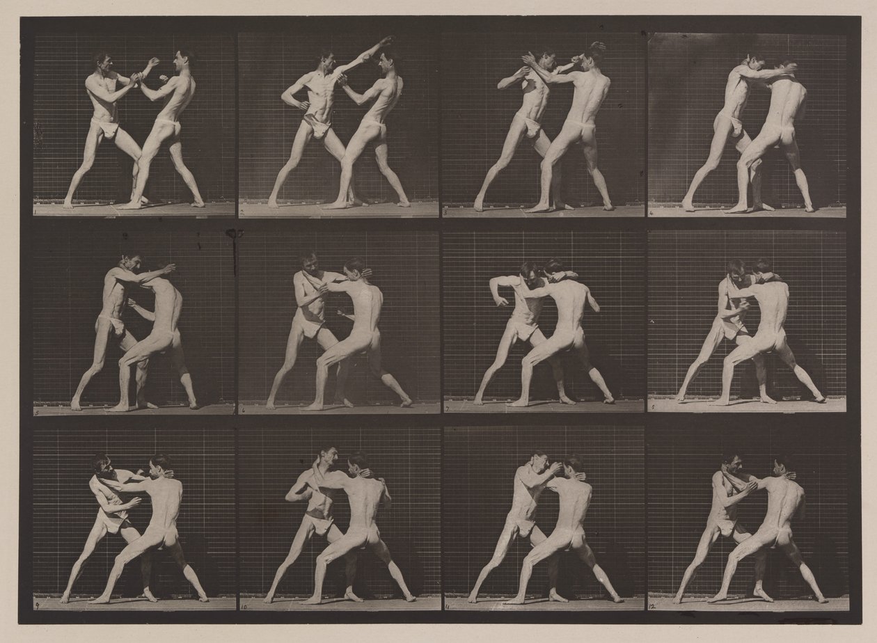 Plate Number 340. Boxing; Open Hand by Eadweard Muybridge