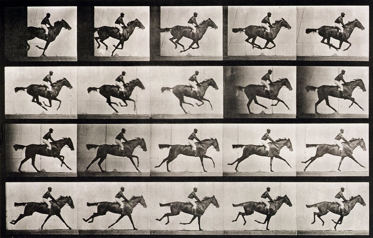 Jockey on a Galloping Horse by Eadweard Muybridge