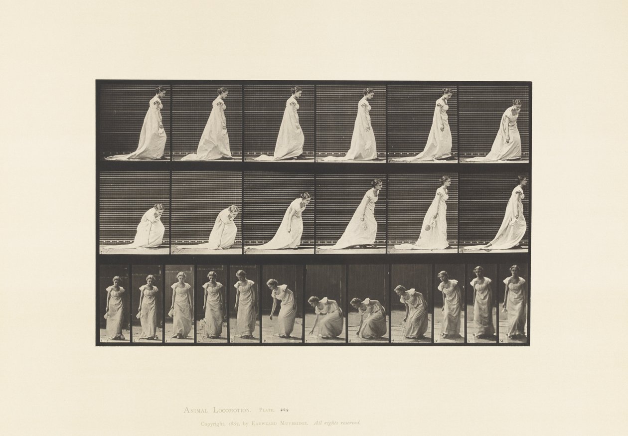 Stooping and Lifting A Handkerchief by Eadweard Muybridge