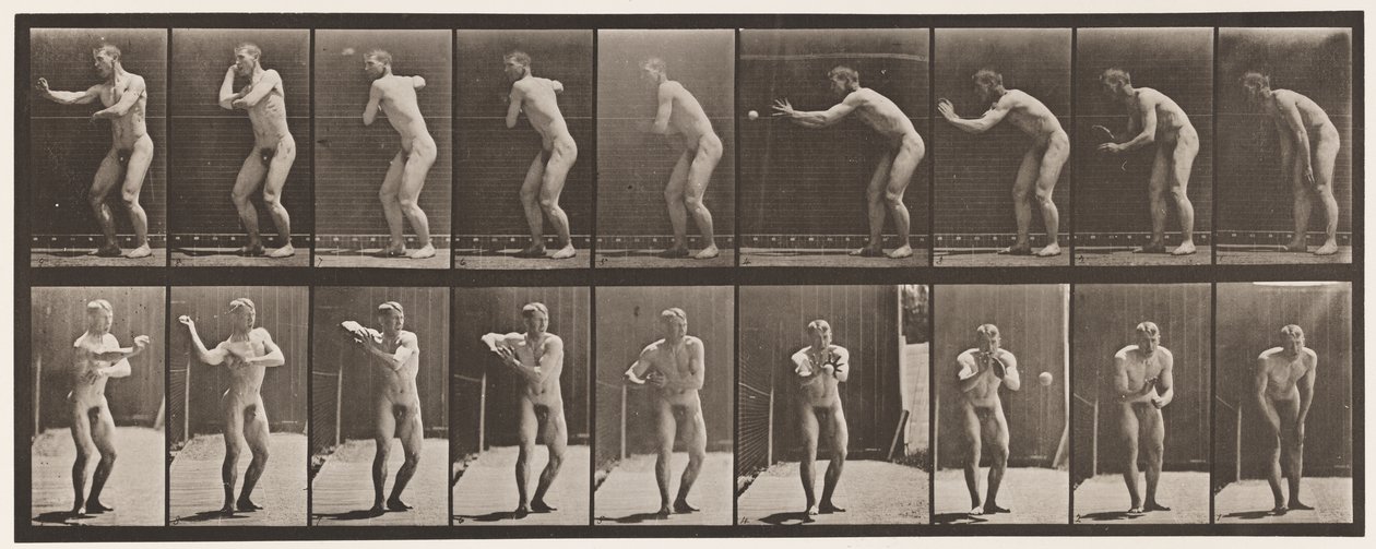 Plate 281. Base-ball; Catching and Throwing by Eadweard Muybridge