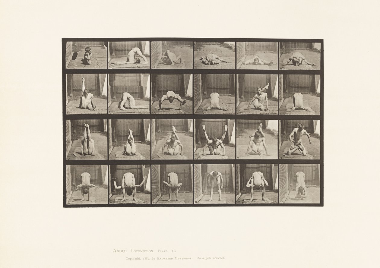 Plate 511. Contortions on the Ground by Eadweard Muybridge