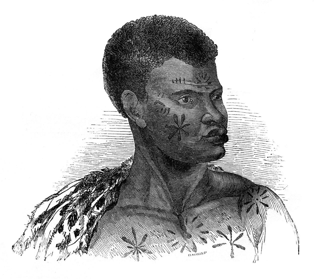 Native of Mozambique by Ebenezer Landells