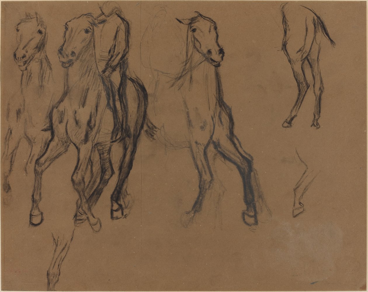 Study of Horses by Edgar Degas