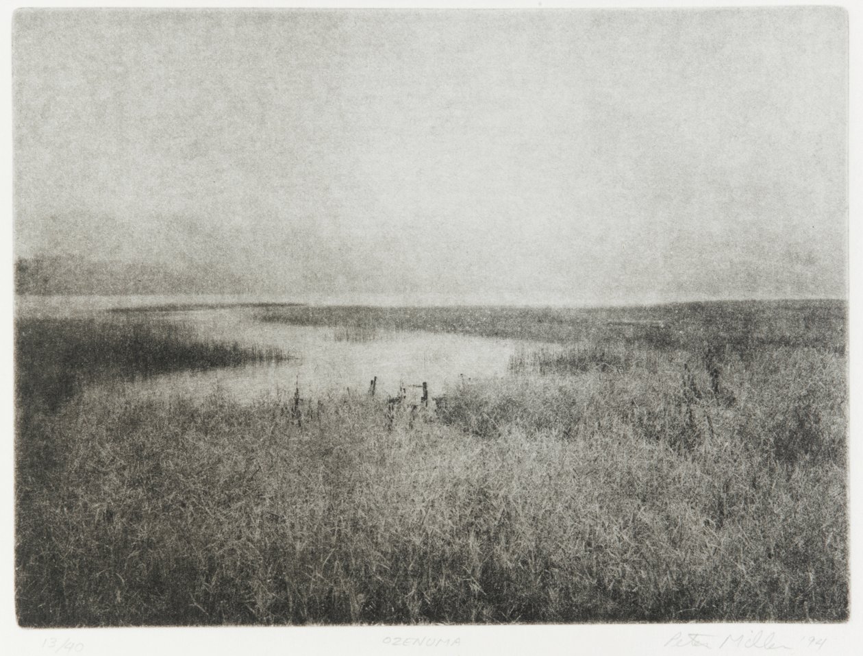 Ozenuma by Edouard Cremieux