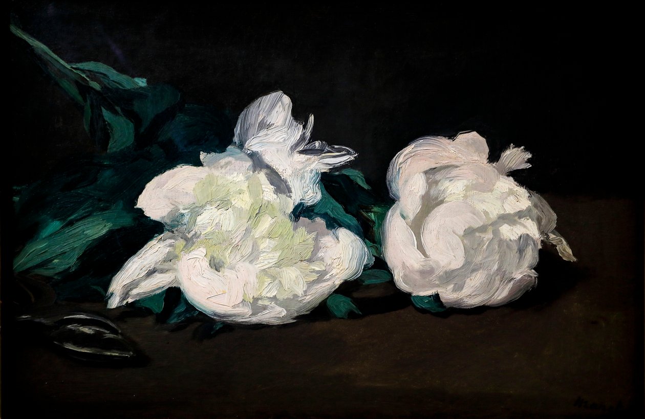 Branch of White Peonies and Secateurs by Édouard Manet