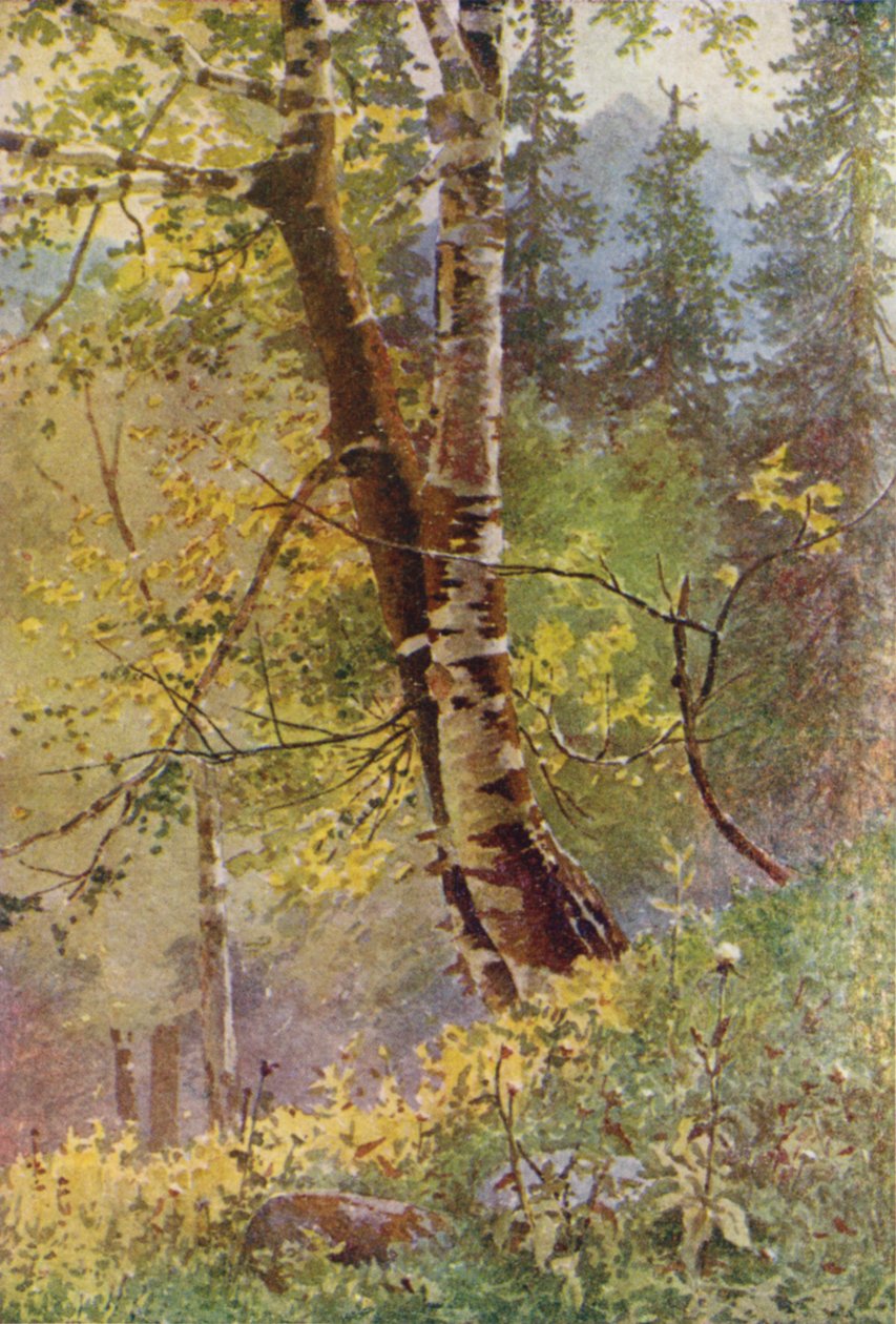 In the Forest by Edward Mary Joseph Molyneux