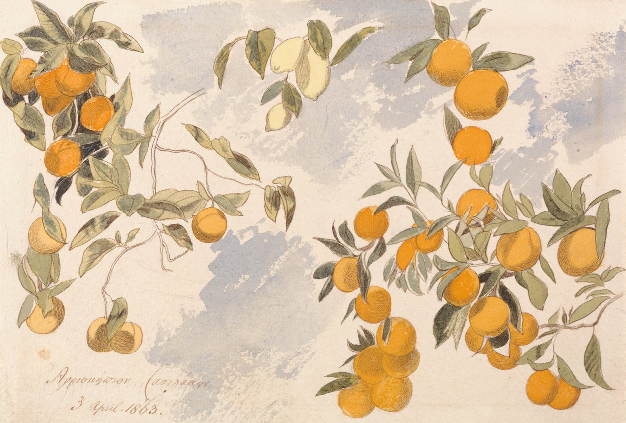 Fruit Trees, 3 April 1863 by Edward Lear