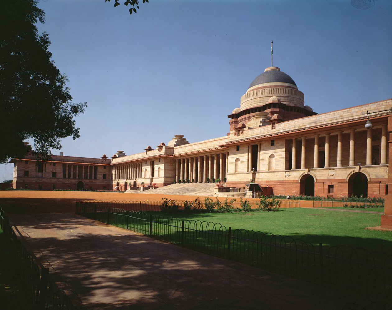 Front View of the Viceroy