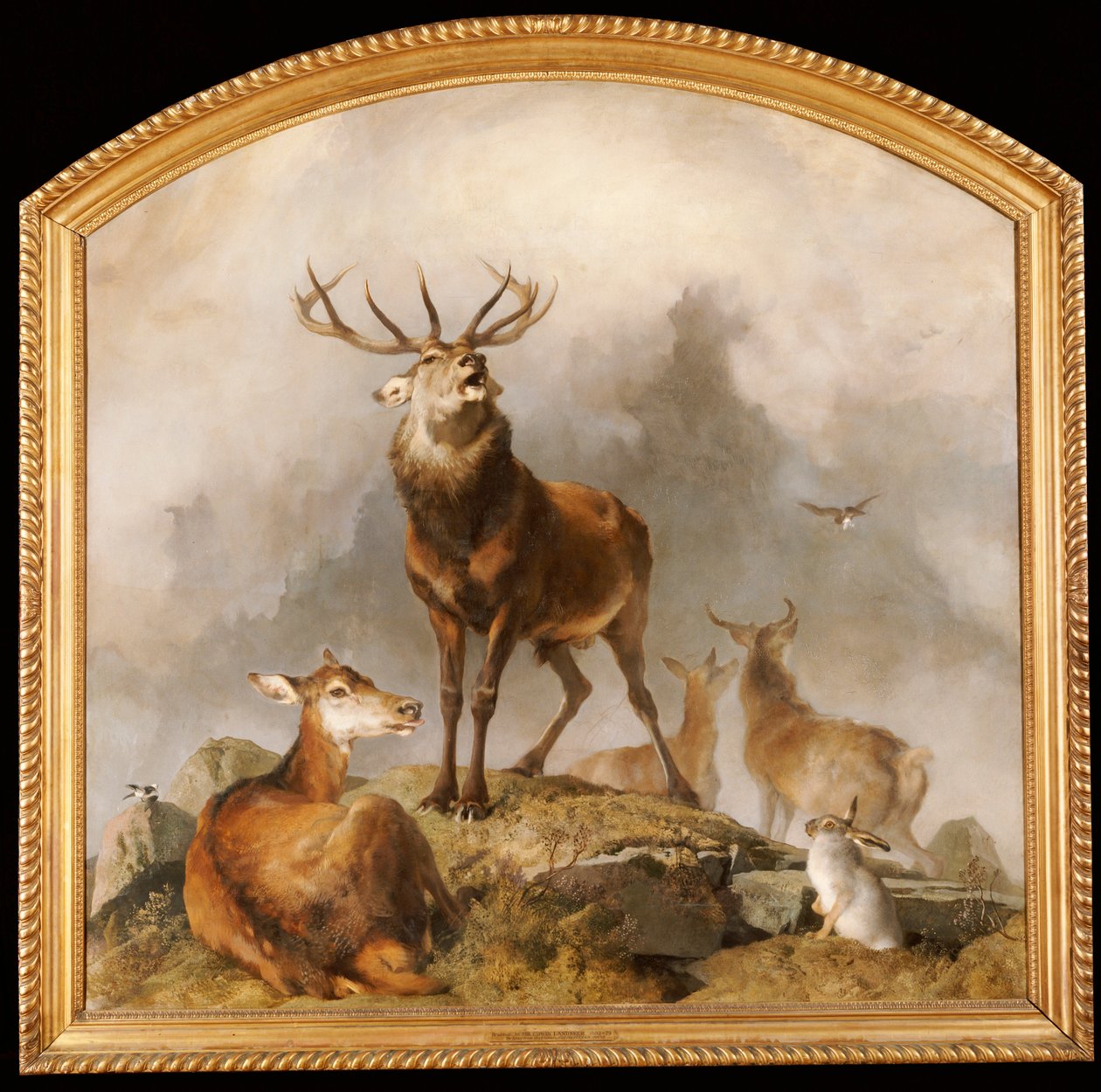Scene in Braemar - Highland Deer by Edwin Landseer