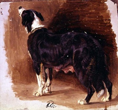 Sketch of a Collie by Edwin Landseer