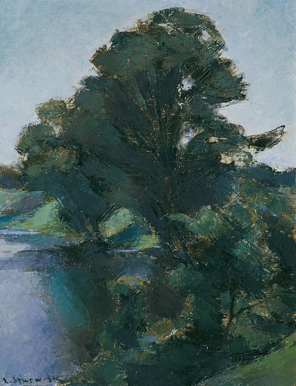 Trees by the Water by Egge Sturm Skrla