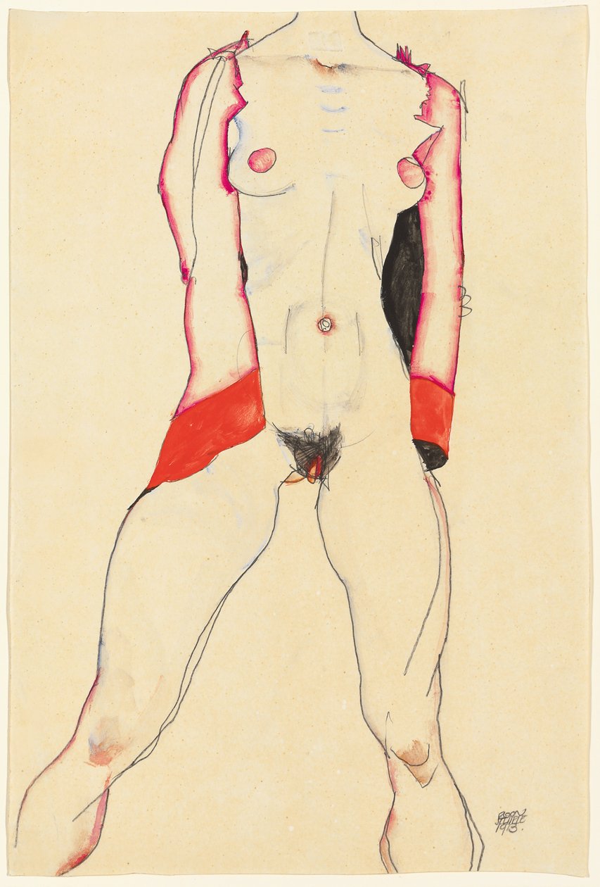 Female Torso by Egon Schiele