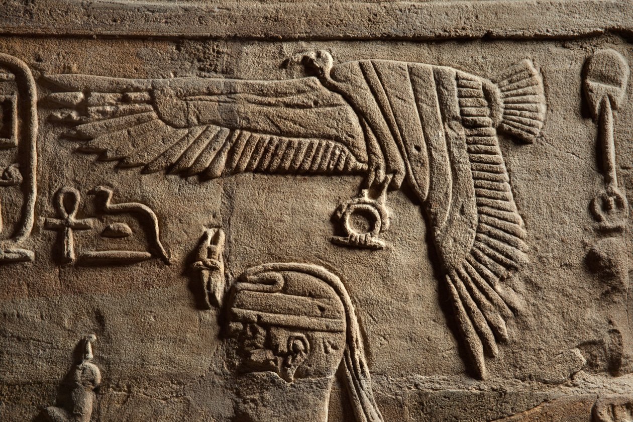 Relief on a shrine erected by Pharaoh Taharqa in the court of the Temple of Amun built by him at Kawa in Nubia, 25th Dynasty, Late Period, 690-64 BC sandstone (detail) by Egyptian 25th Dynasty