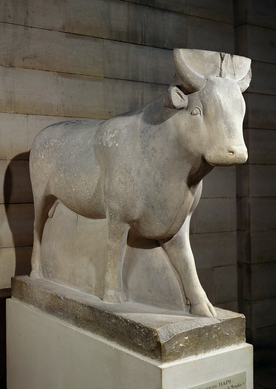 The Apis Bull, from the Serapeum, Memphis by Egyptian 30th Dynasty