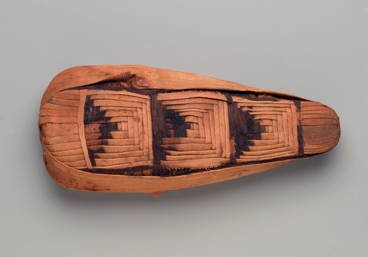 Mummy of an Ibis by Egyptian