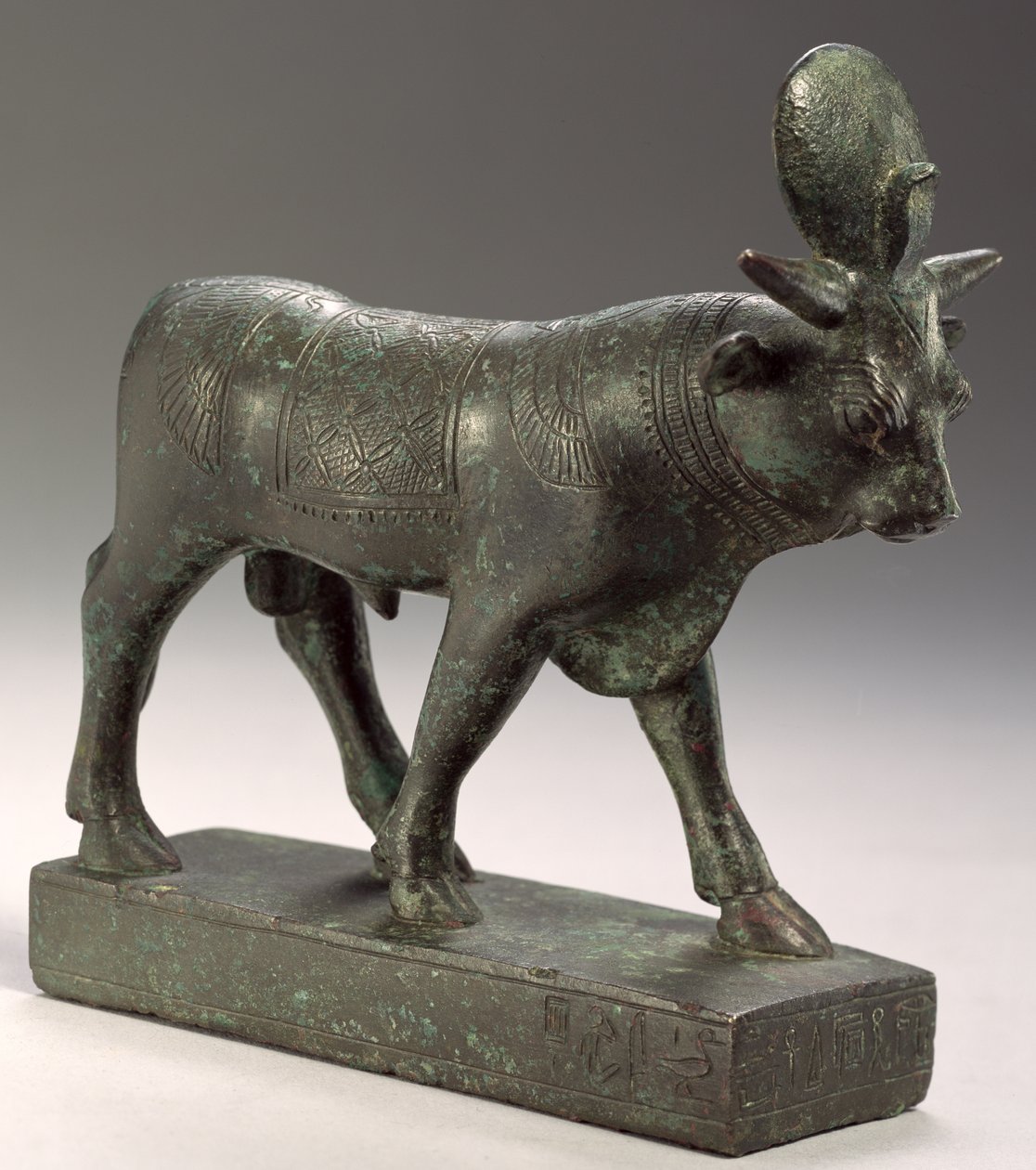 Apis bull, Late Period by Egyptian 26th Dynasty