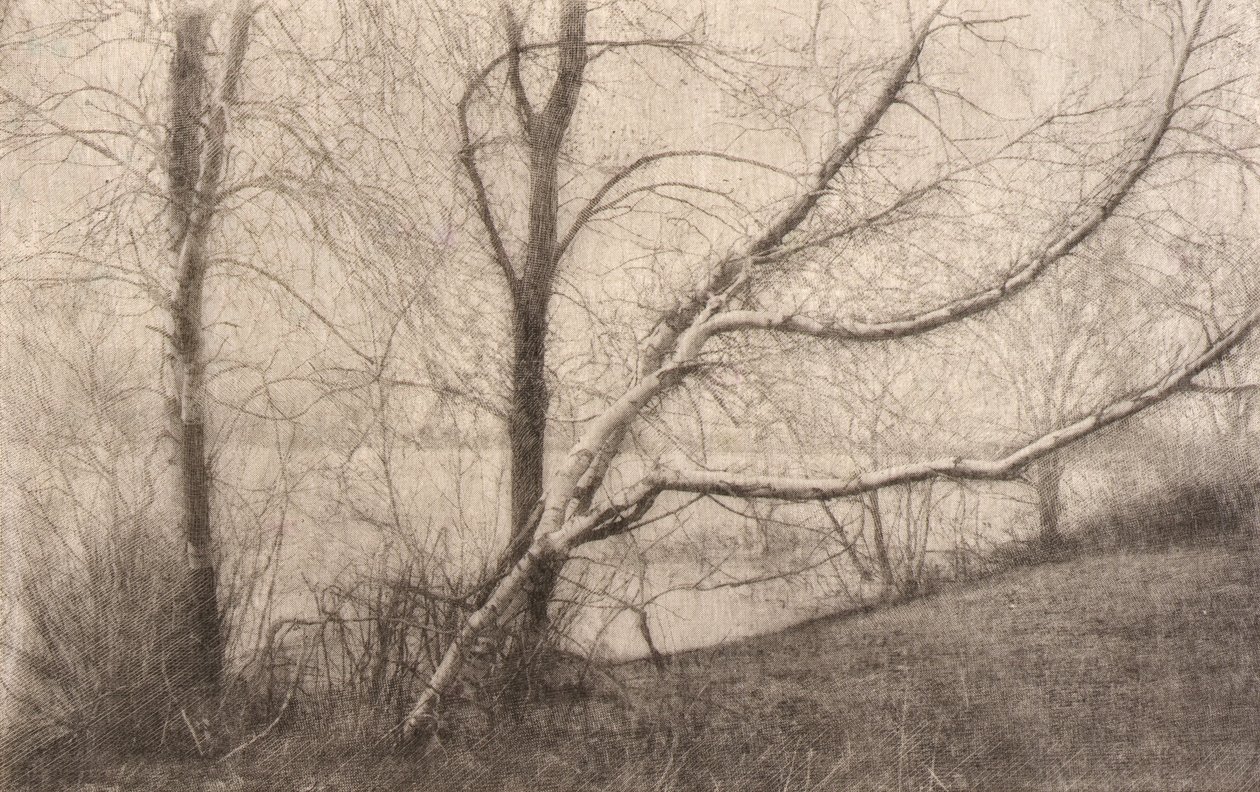 Untitled by Elbridge Kingsley