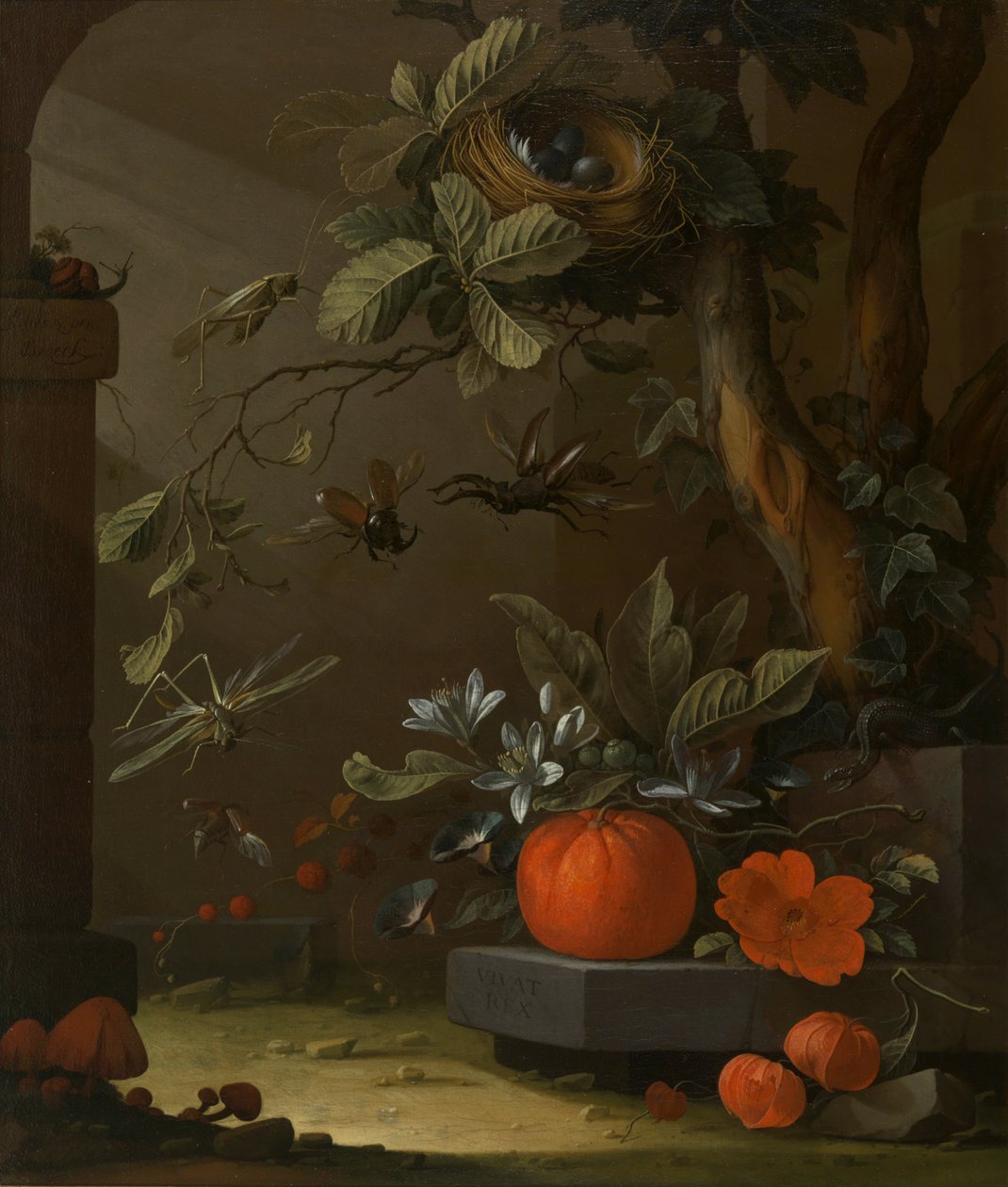 Vivat Rex by Elias van den Broeck