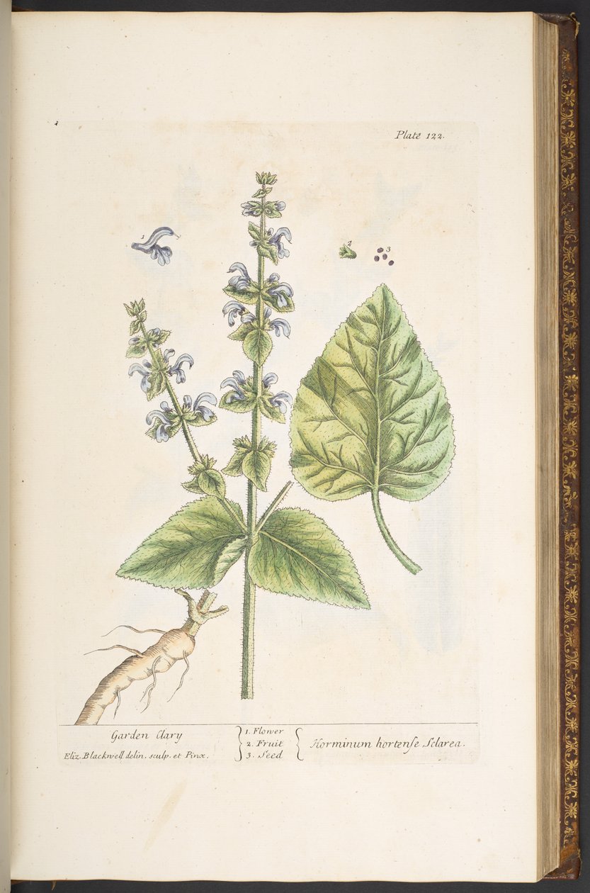 Plate 122, from 