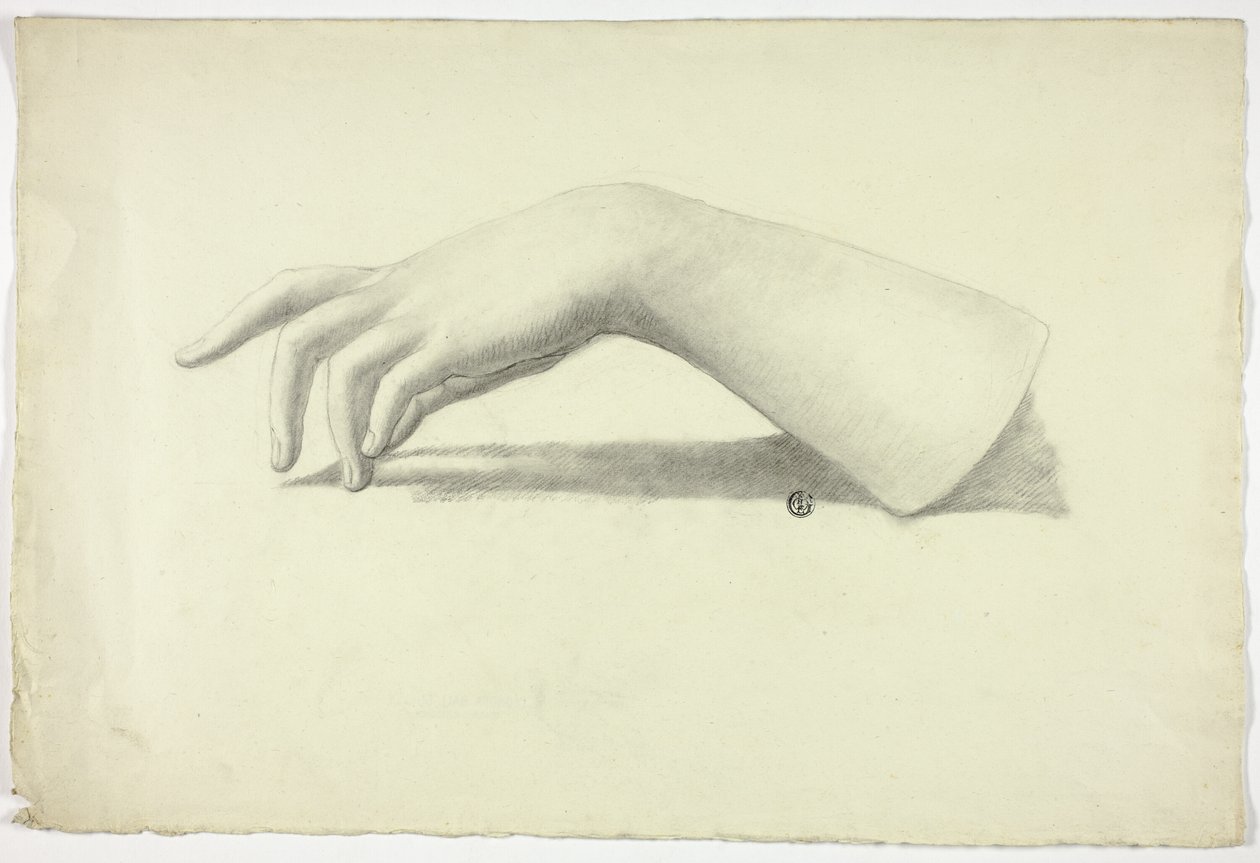 Left Forearm and Hand by Elizabeth Murray