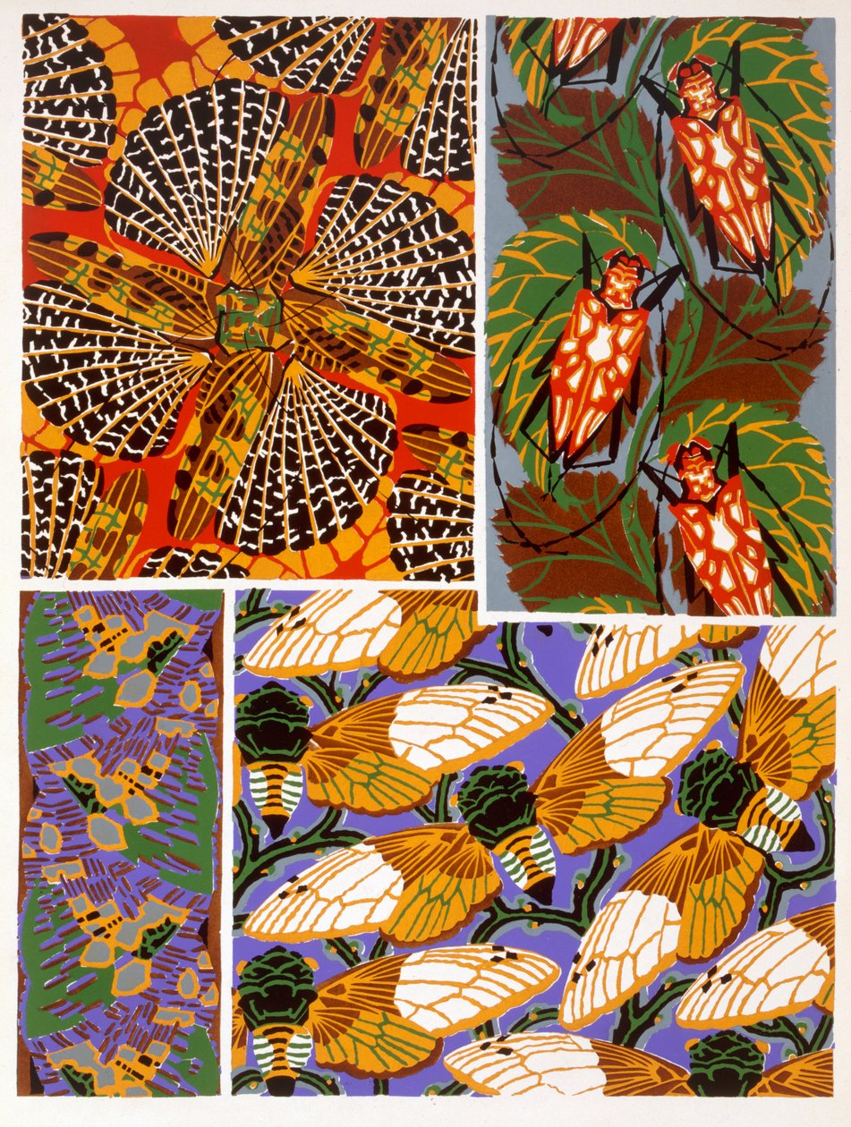 Design with Insect Motif by Émile Allain Séguy