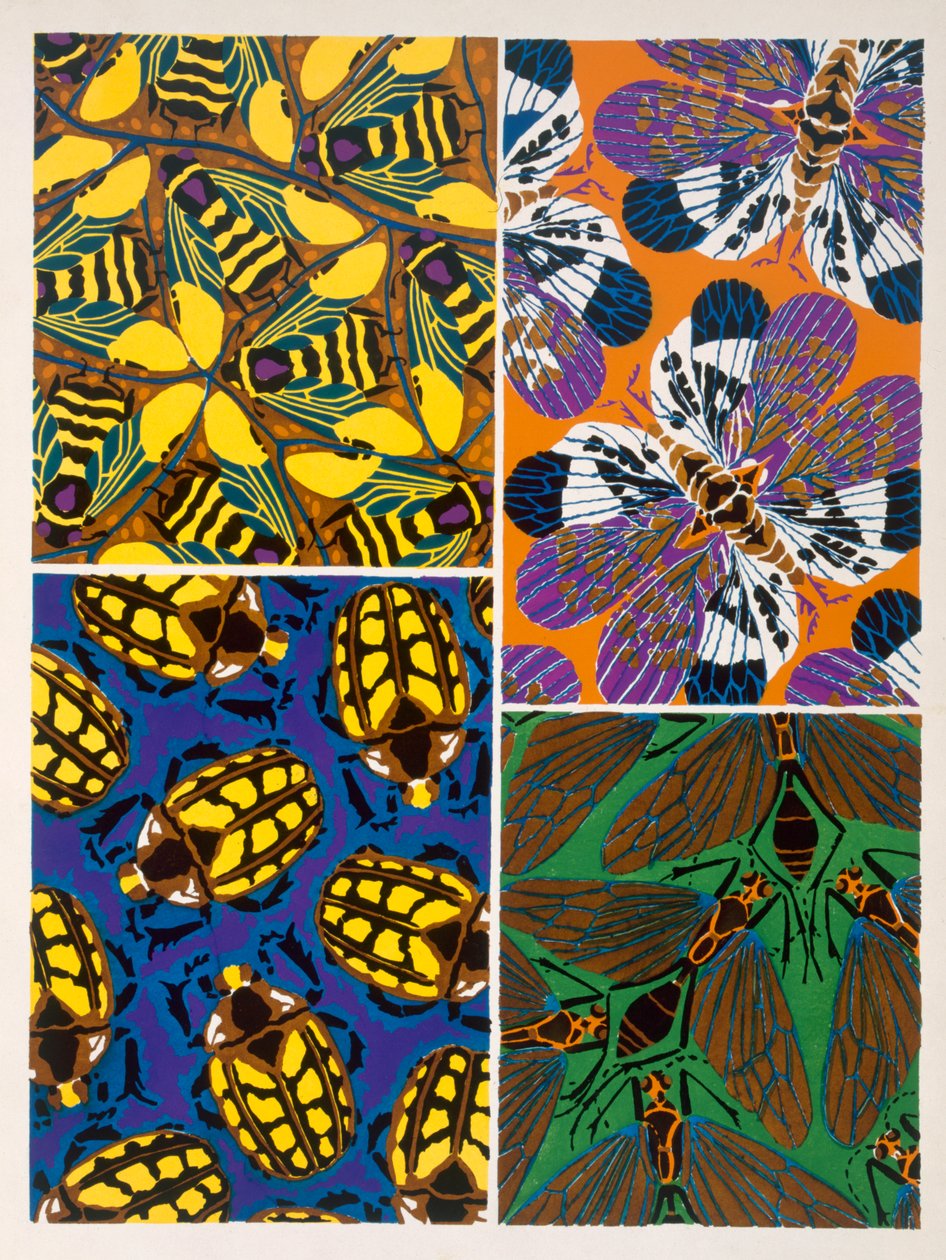 Design with insect motif by Émile Allain Séguy