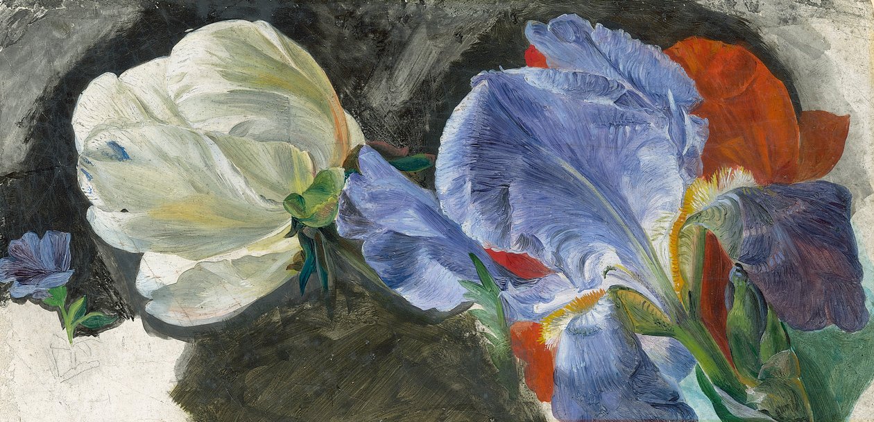 A Study of Flowers by Emily Stannard