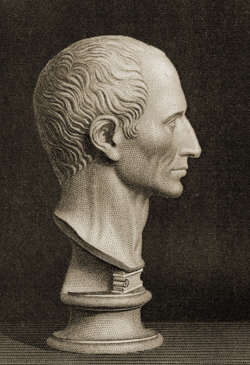 Bust of Gaius Germanicus Caesar by English School