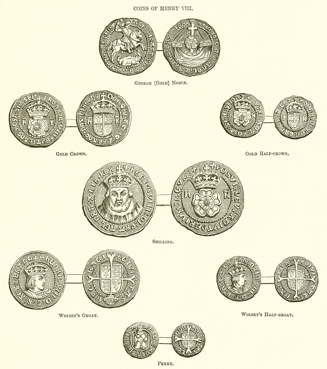 Coins of Henry VIII by English School